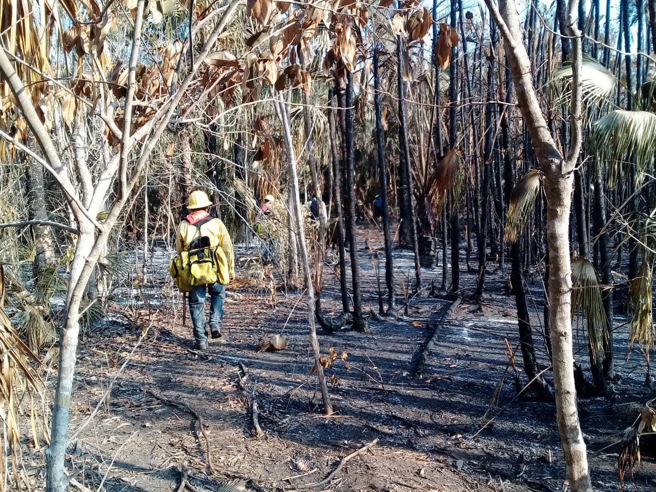 incendios quintana roo