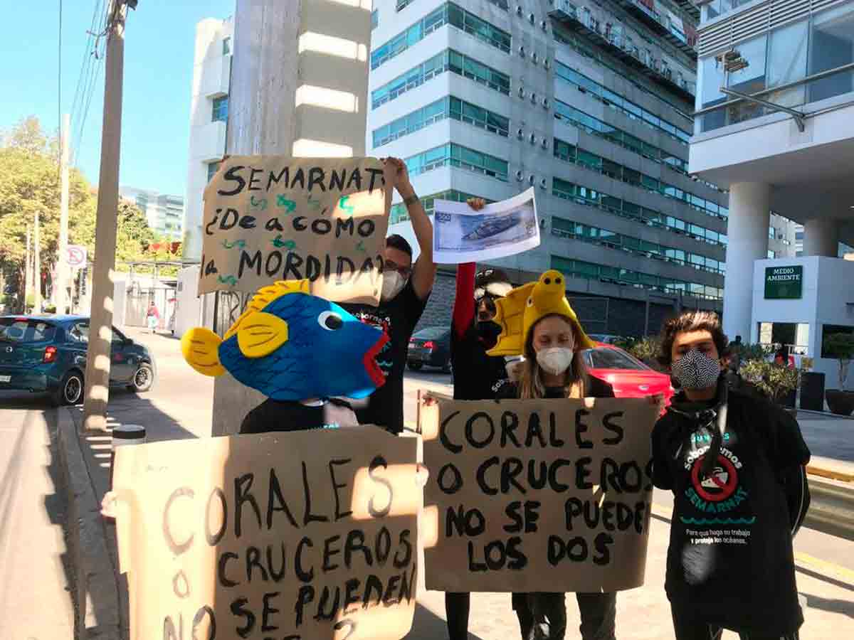 activistas en semarnat Cozumel